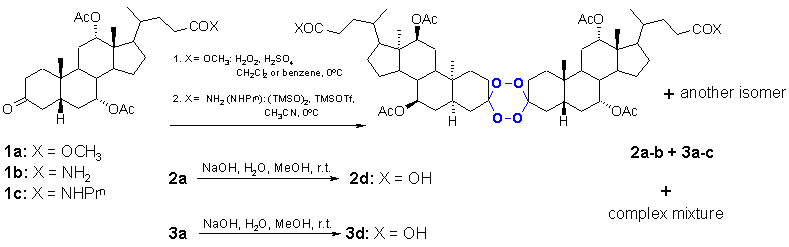 scheme_1.gif (6000 bytes)